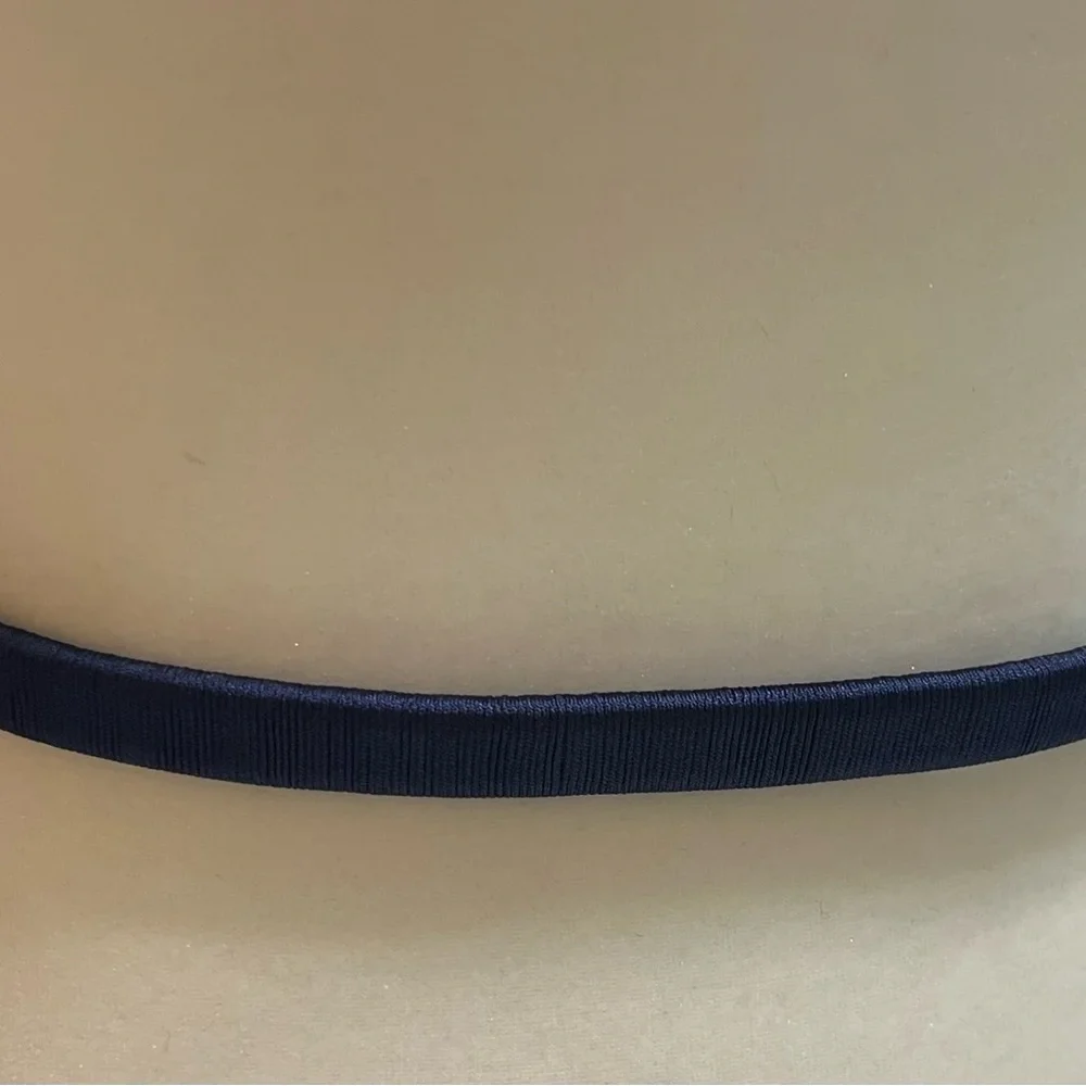 J. Crew Brown and Blue Belt Sleek Design